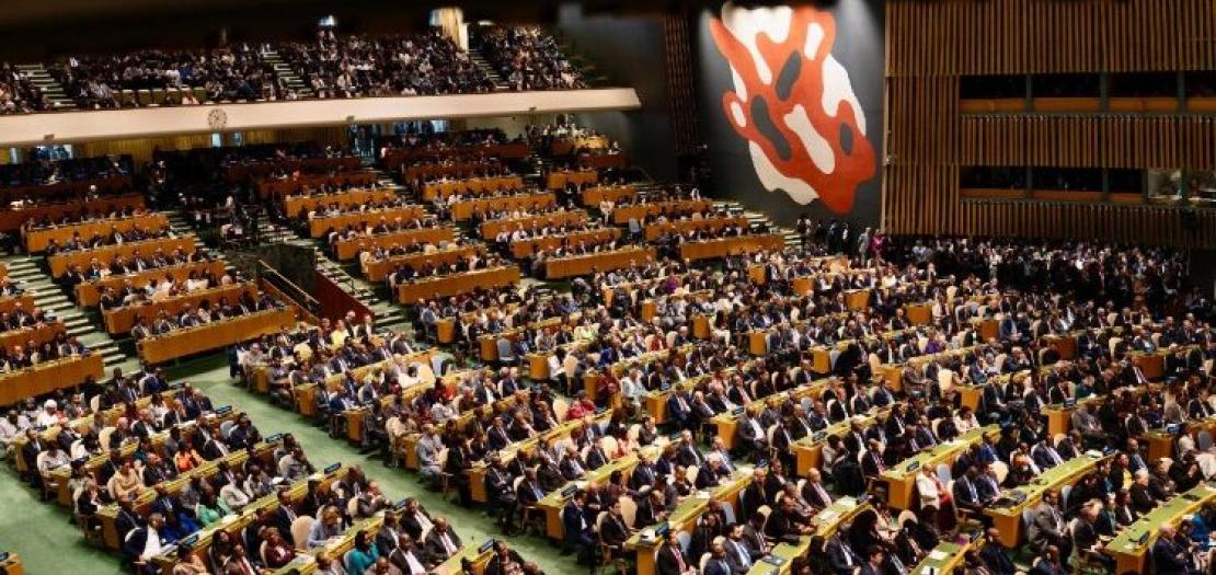 United Nations General Assemby  