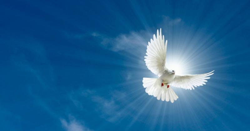 Pope asks all believers to work for peace in a world threatened by ...