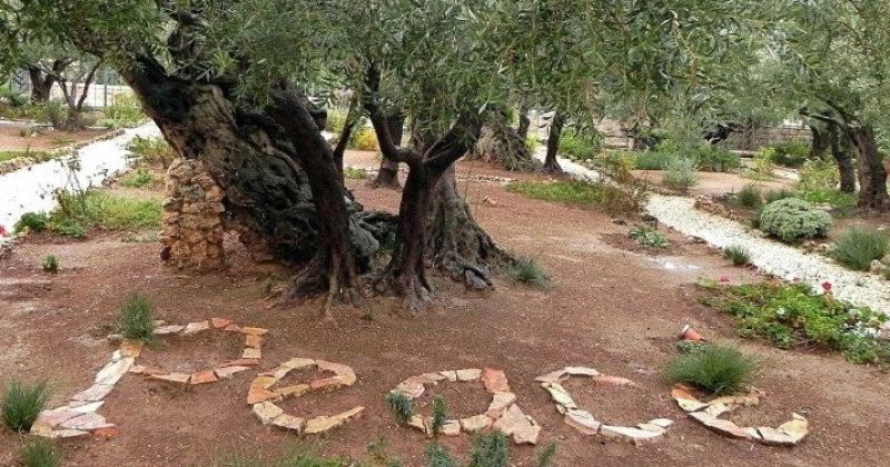 Custos of Holy Land: Good Friday collection is concrete sign of ...